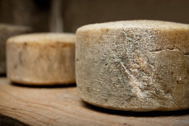پنیر مانچگو خوشمزه‌ترین پنیر اسپانیایی